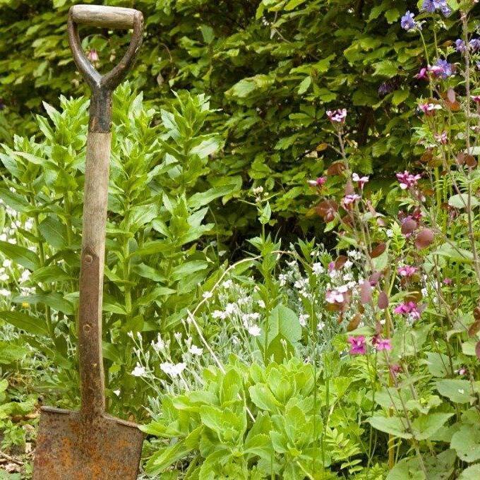 How to maximise your garden during lockdown